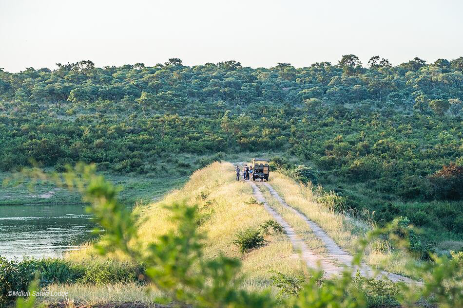 Mdluli Safari Lodge Parco Kruger