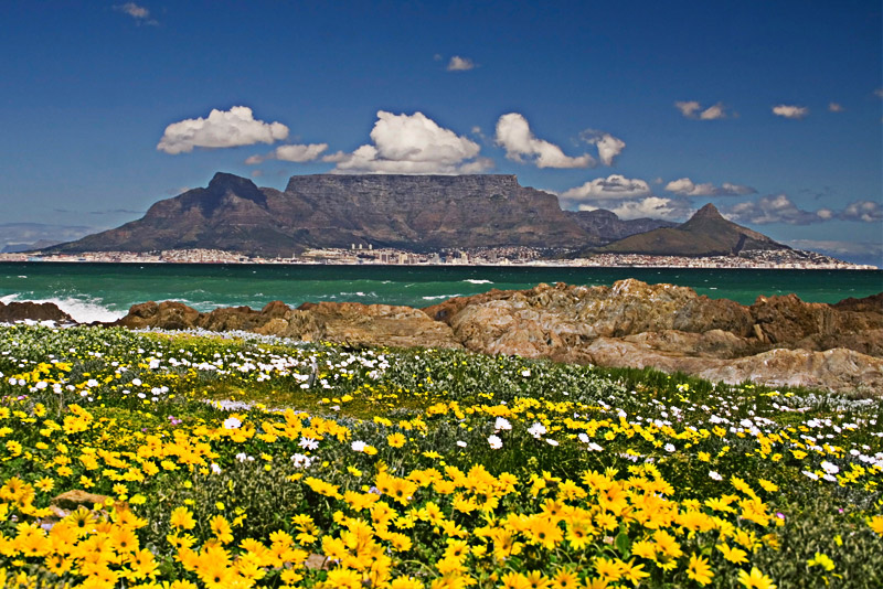 Table Mountain Cape Town