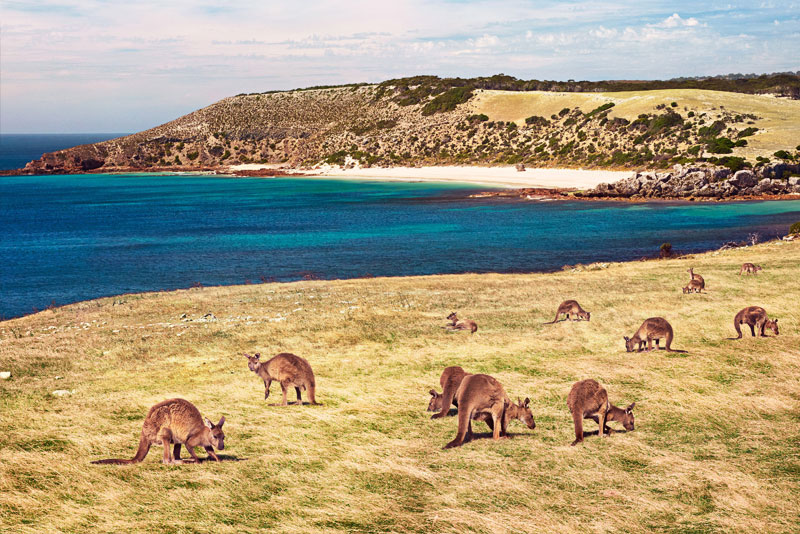 Kangaroo Island