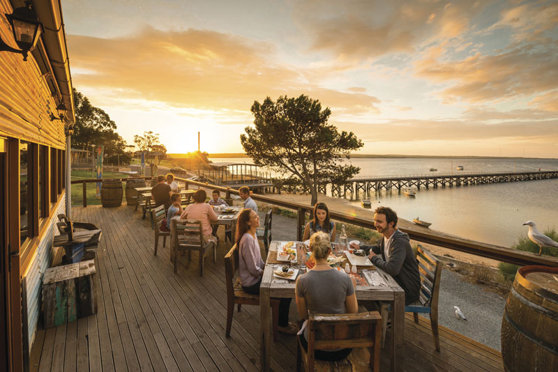 Leoni marini Eyre Peninsula