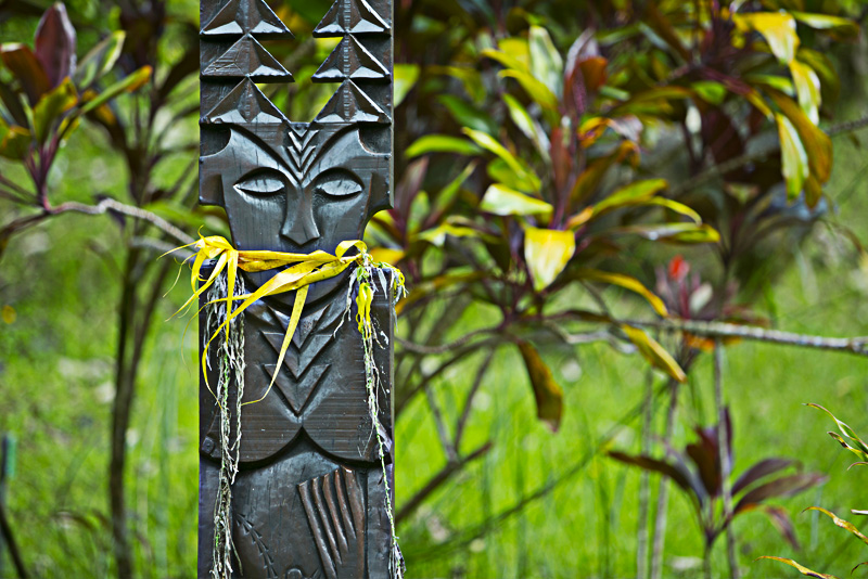 Immersioni e snorkeling in Polinesia