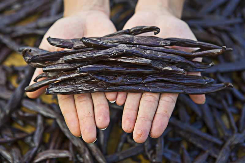 La vaniglia di Tahiti