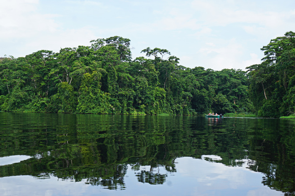 Parco Nazionale Tortuguero