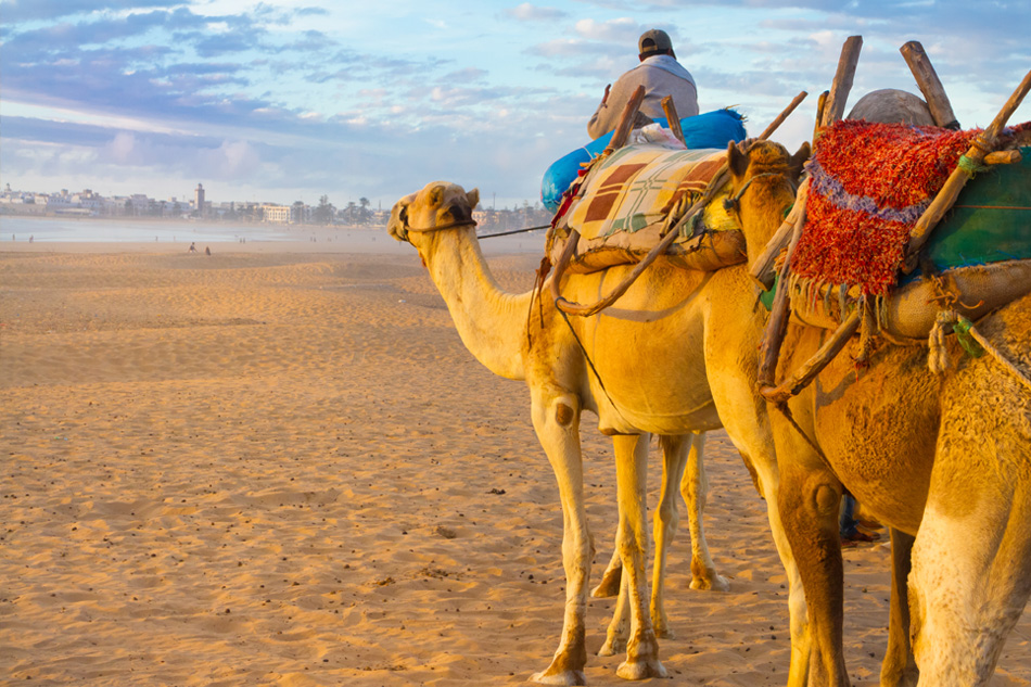 Spiaggia di Essaouira