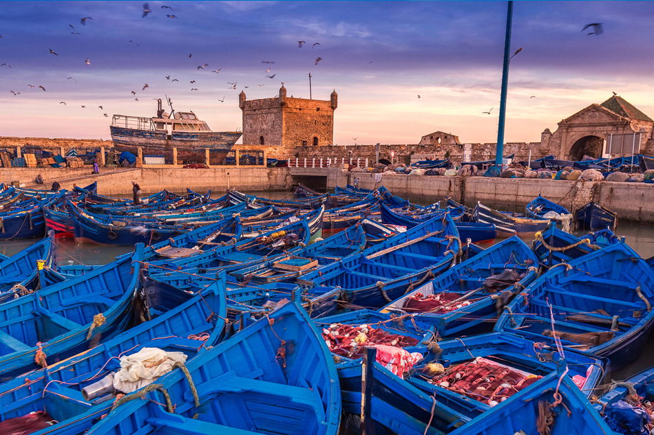 Il suggestivo porto