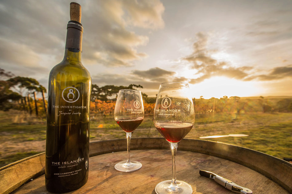 Le piantagioni di tè della Hill Country