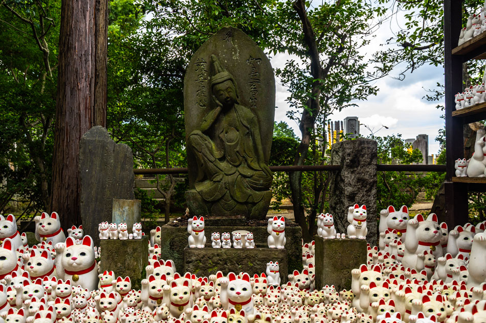 Tempio di Gotokuji Tokyo