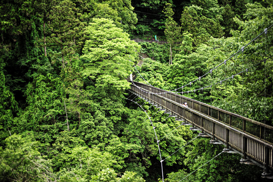 Okutama National Park