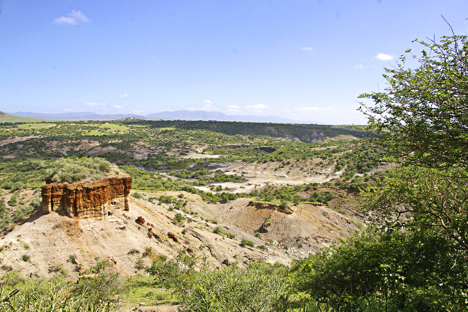  Gola di Olduvai Tanzania