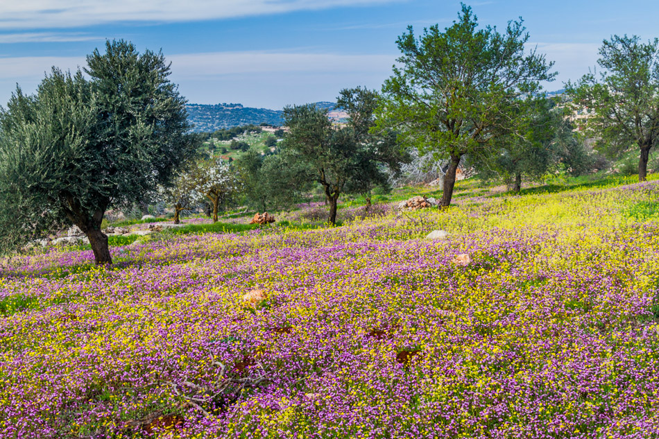 Ajloun Giordania