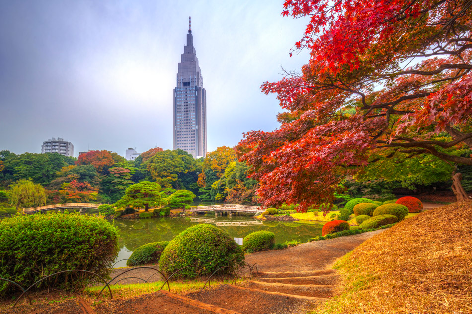 Shinjuku Gyoen Tokyo autunno