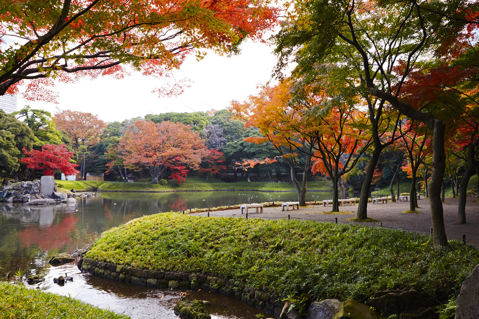 Koishikawa Korakuen Tokyo