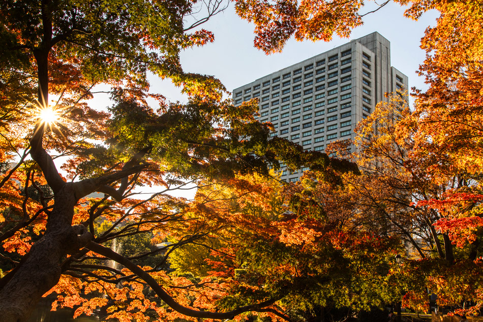 Hibiya Park Tokyo