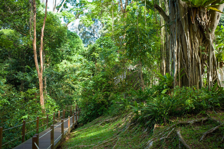 Bukit Timah