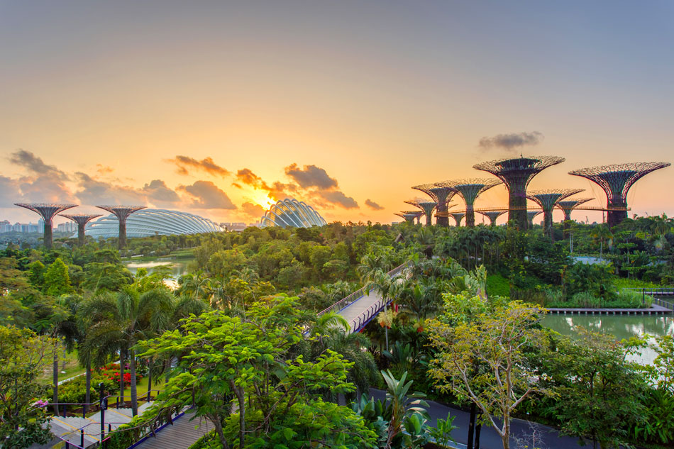 Supertrees Gardens by the Bay