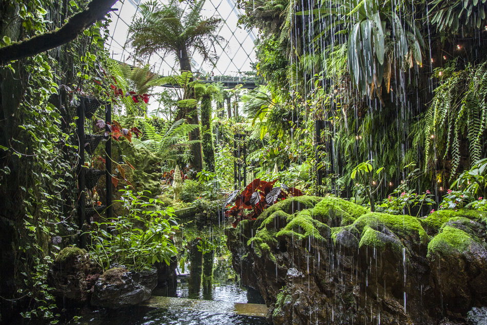 Cloud Forest Gardens by the Bay