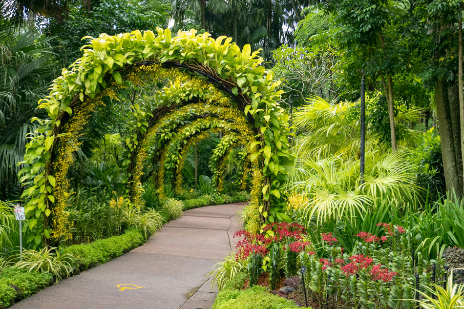  Singapore Botanic Gardens