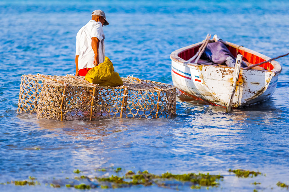 Viaggio a Mauritius