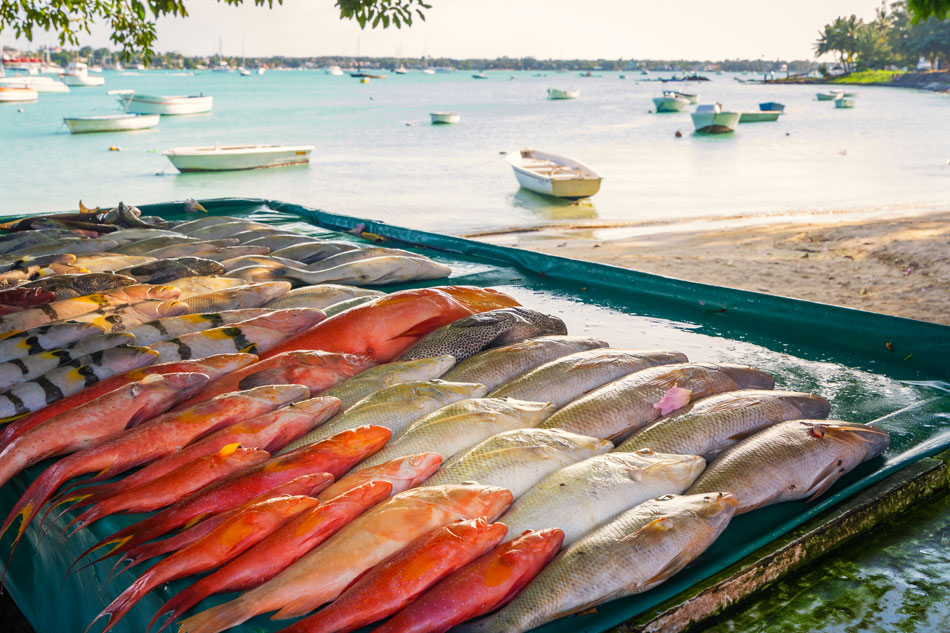 Viaggio a Mauritius