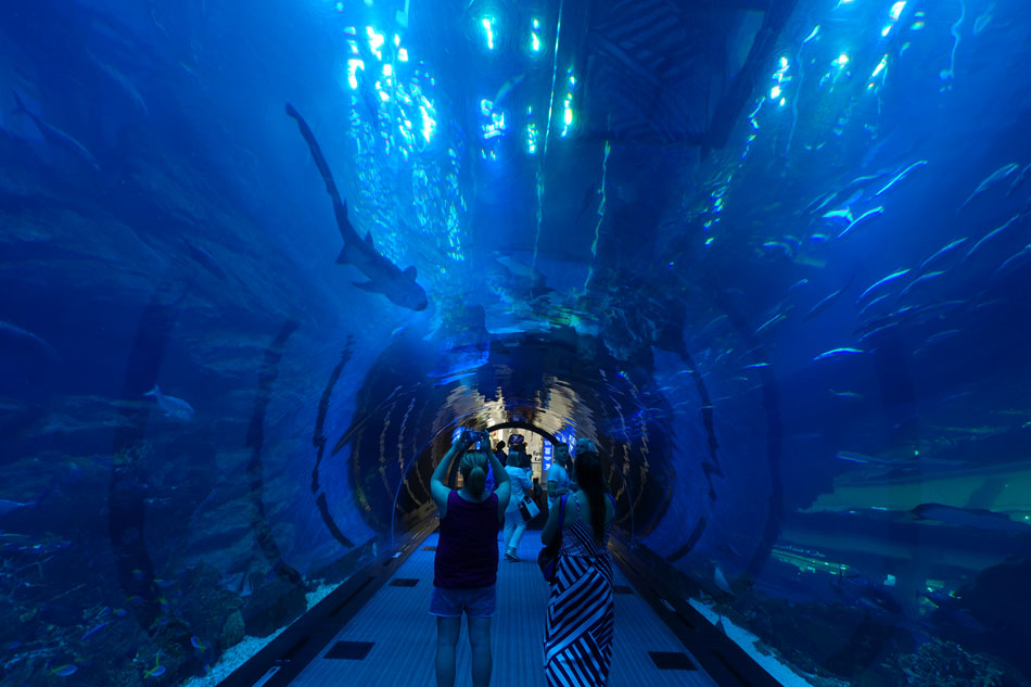 Aquarium Dubai Mall