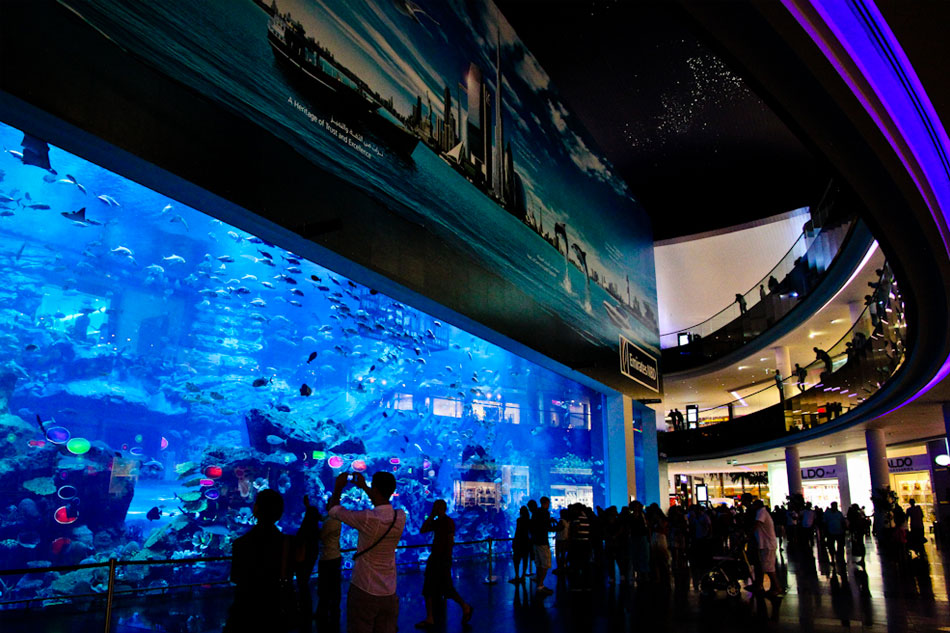 Aquarium Dubai Mall
