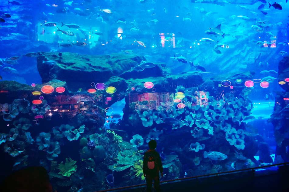 Aquarium Dubai Mall