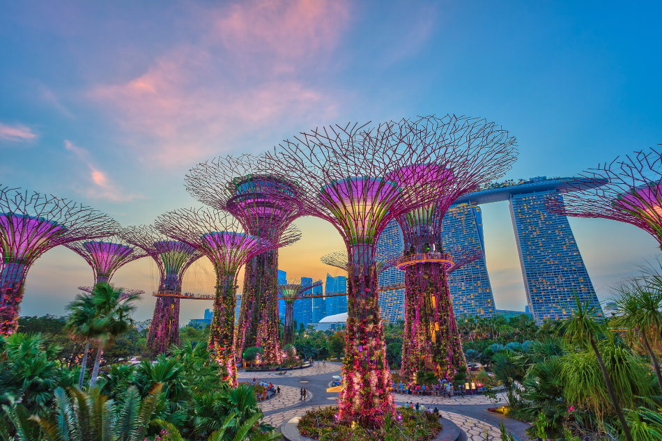 Supertrees Gardens by the Bay