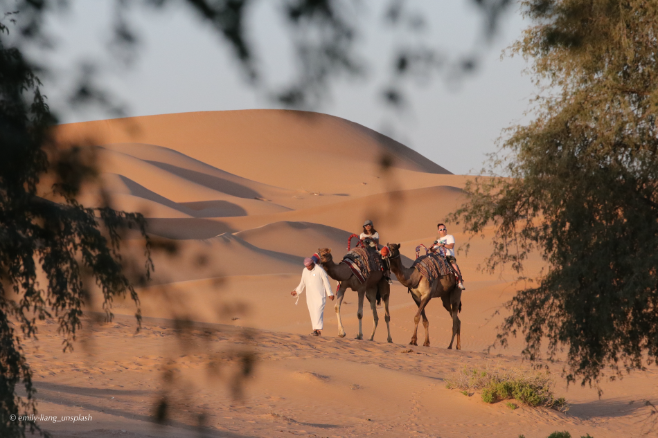Escursioni deserto Abu Dhabi