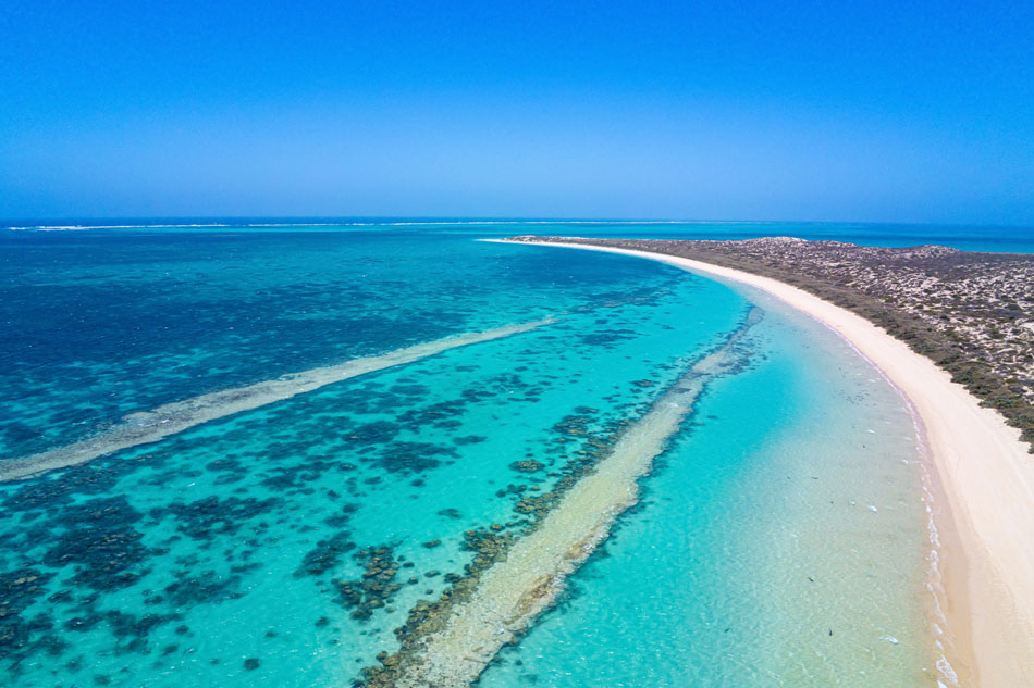 Ningaloo Reef Western Australia