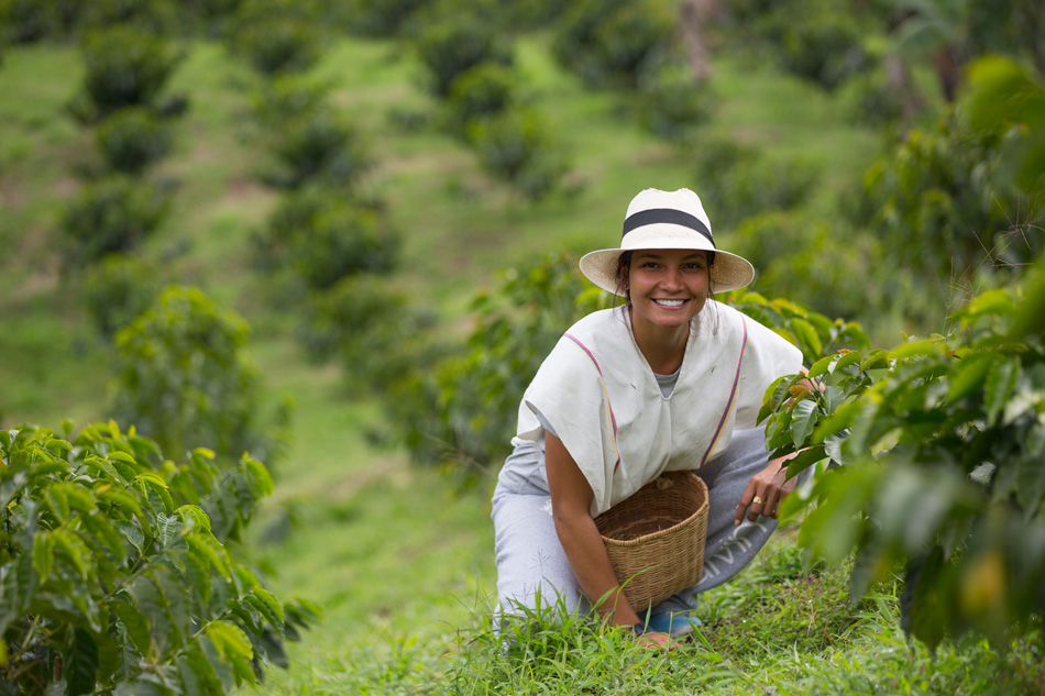 Caffè Colombia