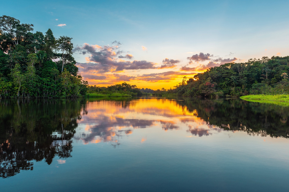 Amazonía-Orinoquía Colombiana
