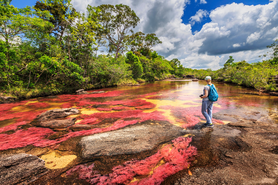 Caño Cristales