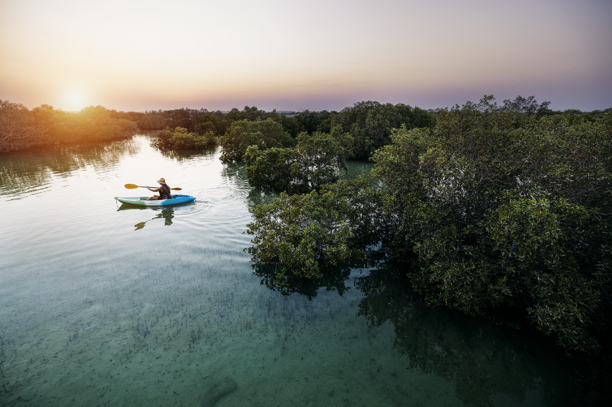 Jubail Mangrove Park