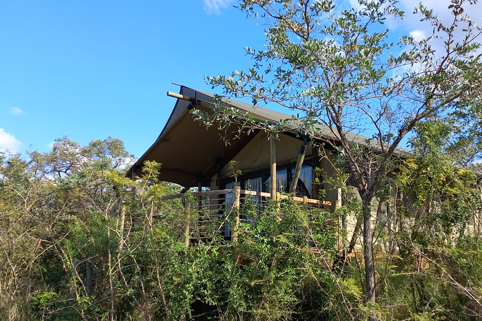 Mdluli Safari Lodge Parco Kruger