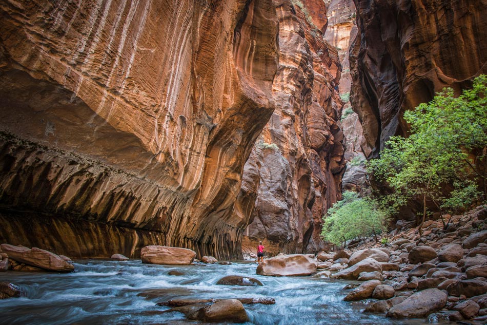 Narrows Parco Nazionale di Zion