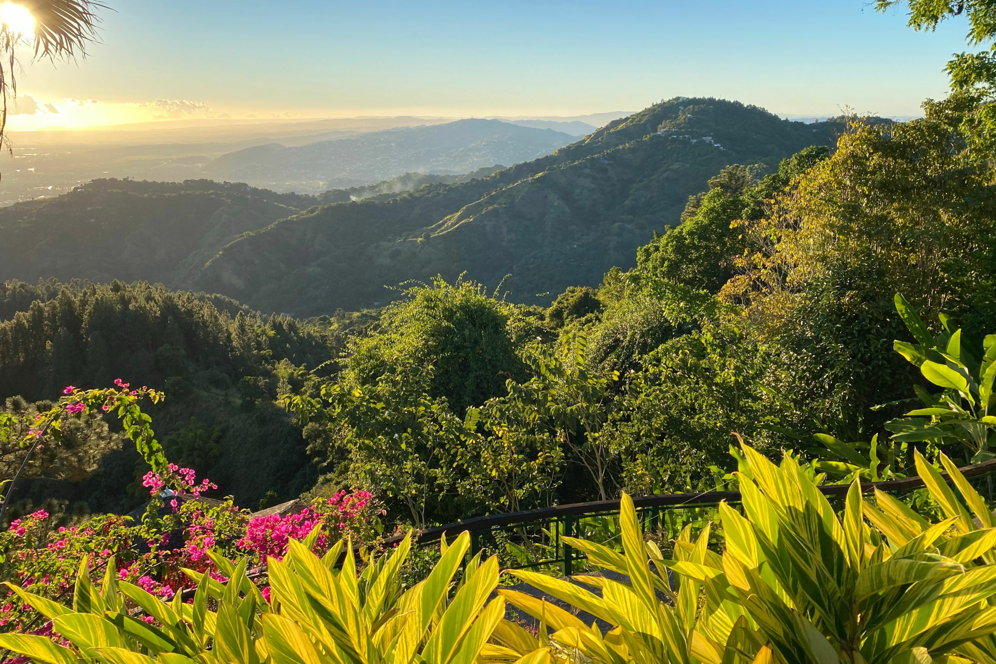 El Yunque National Forest