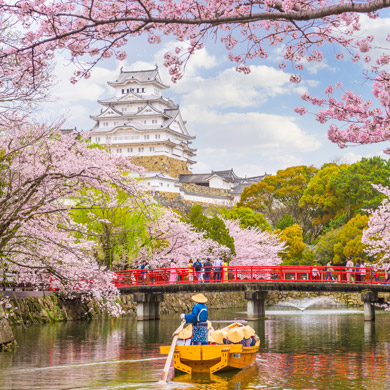 Viaggiare in  primavera Giappone
