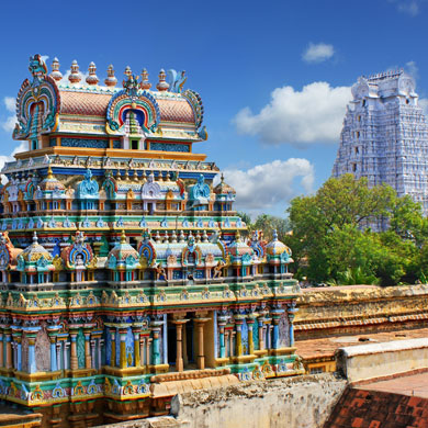 Capodanno India del Sud