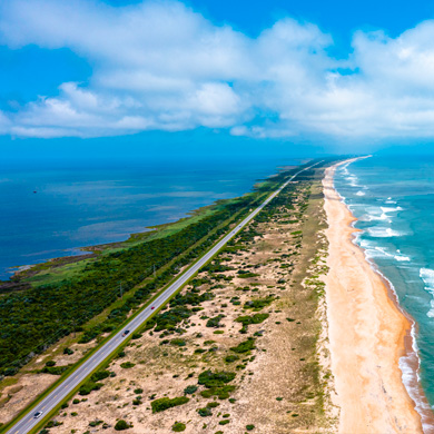 Viaggio naturalistico Travel South USA